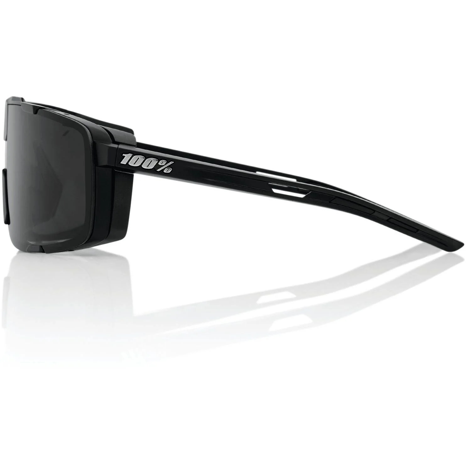 100% Eastcraft Sunglasses Matte Black with Smoke Lens - Image 3