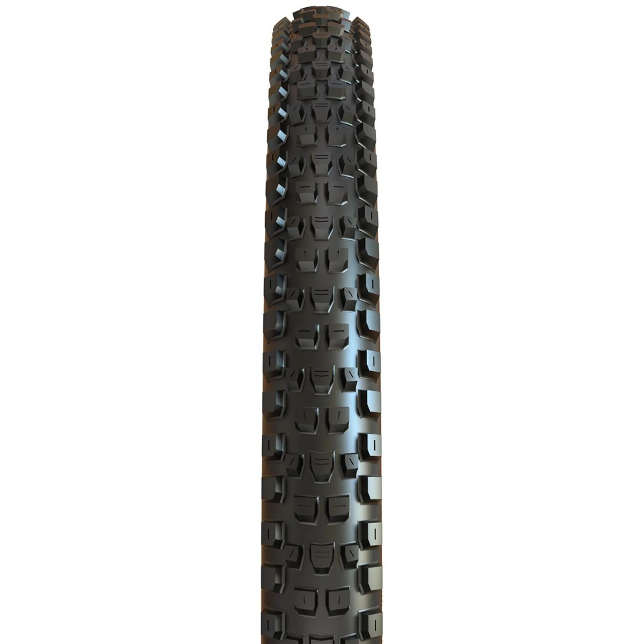 Maxxis Dissector TR WT 3C MaxxTerra Folding MTB Tyre 29x2.4'' - Image 3