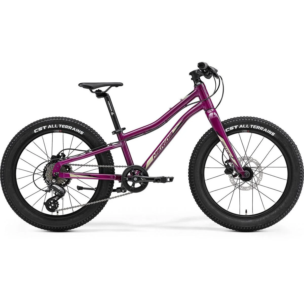 Merida Matts J20 Plus Disc - 20'' Rigid Fork Kids Bike Purple Black/Champagne