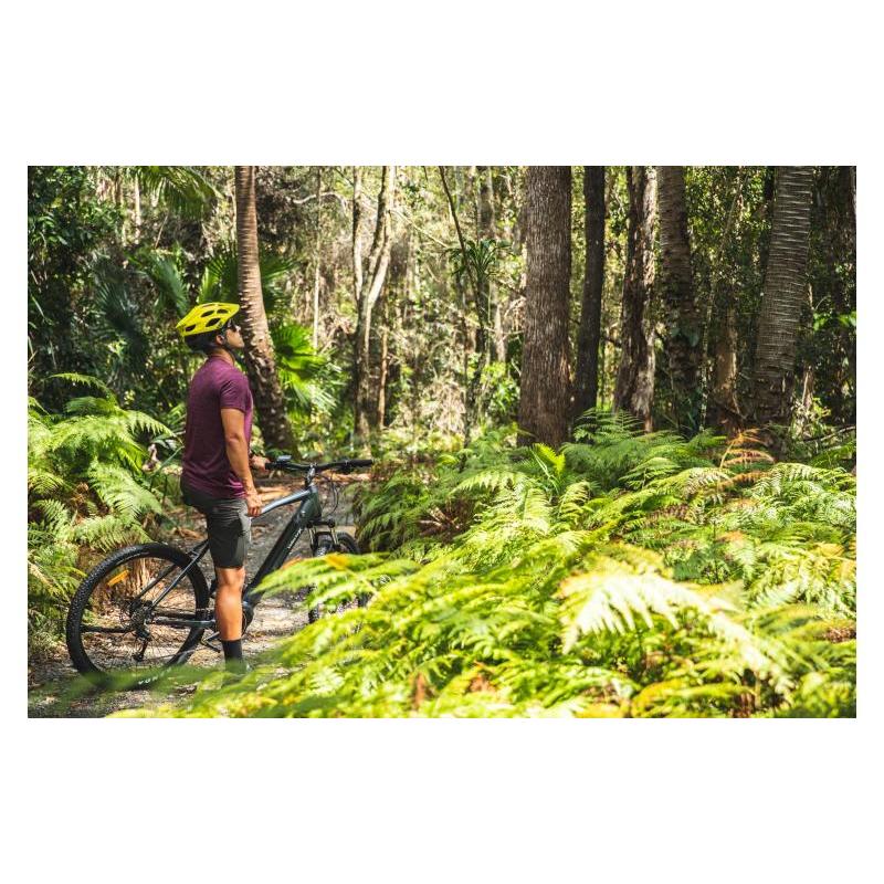 VelectriX Ascent Pulse Electric Mountain Bike Grey - Image 10